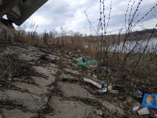 Челлендж #trashtag в Тверской области: как социальные сети помогают в борьбе с мусором
