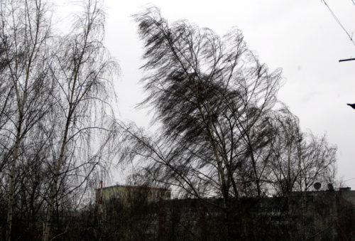 Синоптики предупреждают об усилении ветра