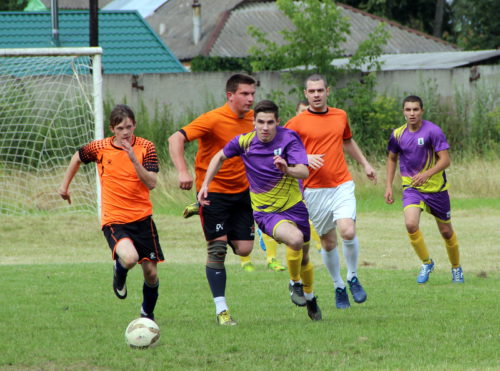 Старичане сыграли первый матч в Чемпионате области