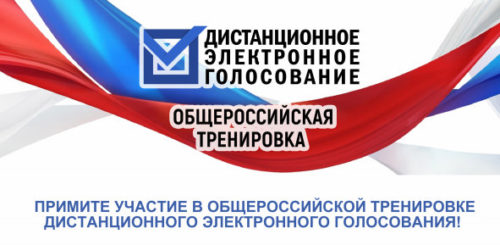 Жителей Тверской области приглашают принять участие в тестировании системы дистанционного электронного голосования