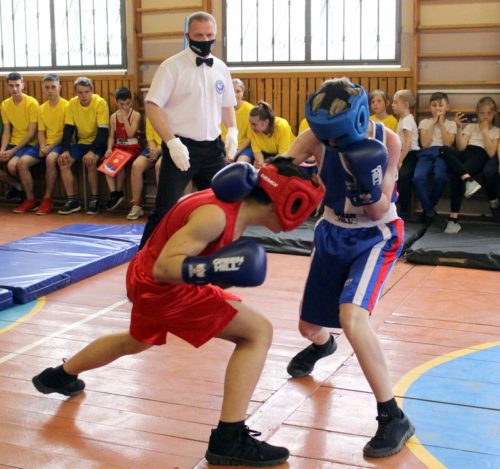 Соревнования по боксу посвятят памяти Учителя
